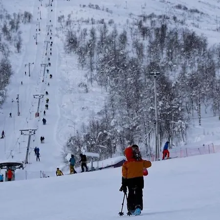 Med Utsikt Over Sunnmorsalpane *