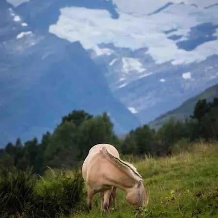 Med Utsikt Over Sunnmorsalpane
